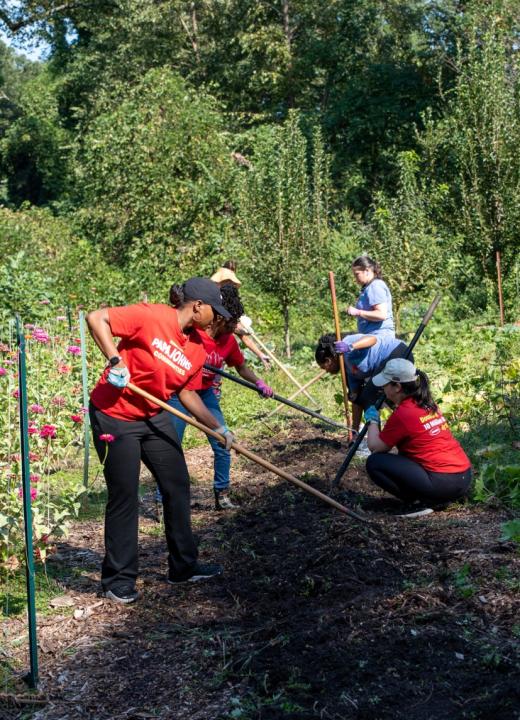 Papa Johns team members volunteering with Concrete Jungle