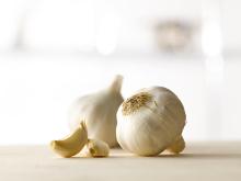 Garlic