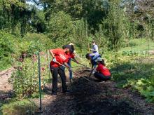 Papa Johns team members volunteering with Concrete Jungle