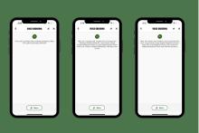 An image of screenshots of Papa Johns digital pizza assistant