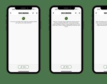 An image of screenshots of Papa Johns digital pizza assistant
